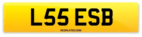 L55 ESB