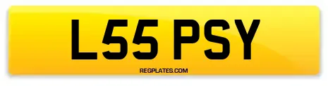 L55 PSY