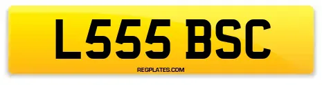 L555 BSC