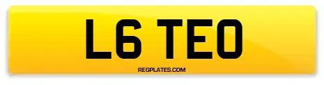 L6 TEO