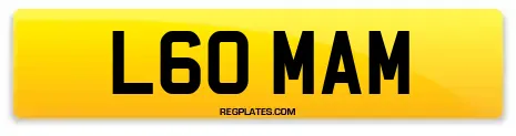 L60 MAM