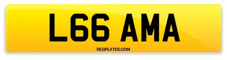 L66 AMA