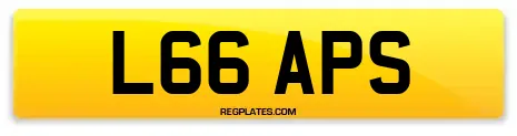 L66 APS