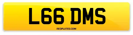L66 DMS