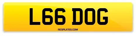 L66 DOG