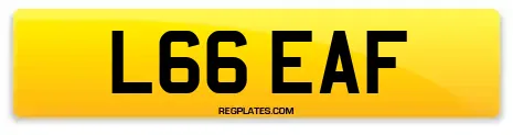 L66 EAF