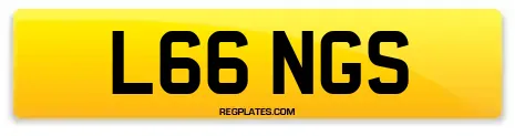 L66 NGS