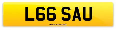 L66 SAU