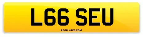 L66 SEU