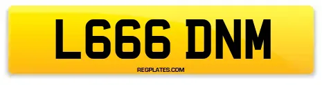 L666 DNM