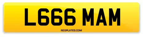 L666 MAM