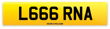 L666 RNA