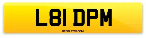 L81 DPM