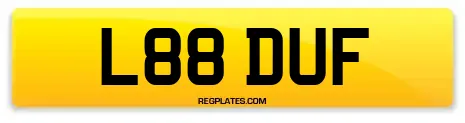 L88 DUF