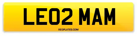 LE02 MAM