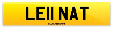 LE11 NAT