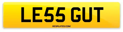 LE55 GUT