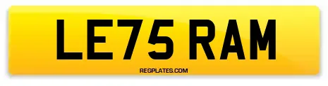 LE75 RAM