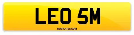 LEO 5M