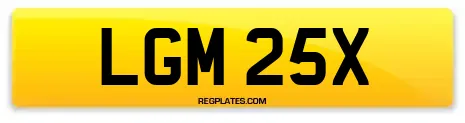 LGM 25X