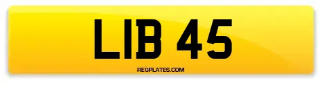 LIB 45