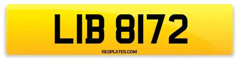 LIB 8172