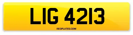LIG 4213