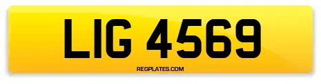 LIG 4569