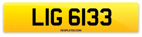 LIG 6133