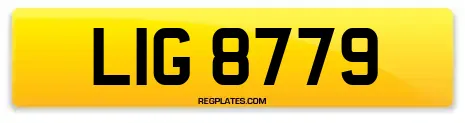LIG 8779