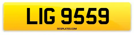 LIG 9559