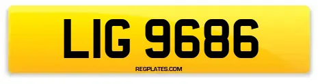 LIG 9686