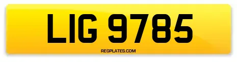 LIG 9785