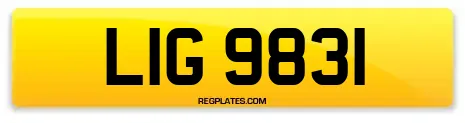 LIG 9831