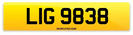 LIG 9838