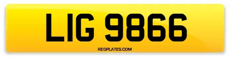 LIG 9866