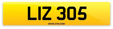 LIZ 305