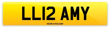 LL12 AMY