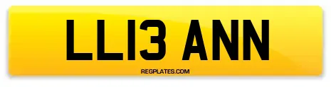 LL13 ANN