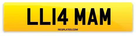 LL14 MAM