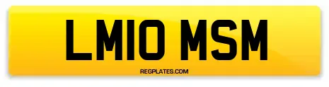 LM10 MSM
