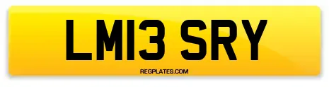 LM13 SRY