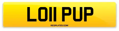LO11 PUP