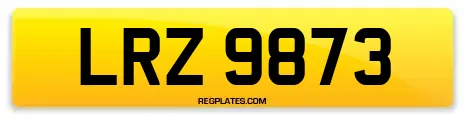 LRZ 9873