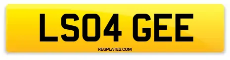 LS04 GEE