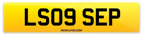 LS09 SEP