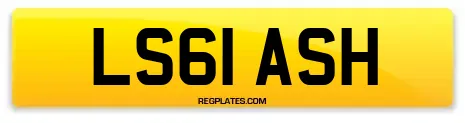 LS61 ASH