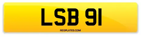 LSB 91