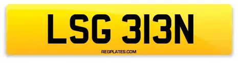 LSG 313N
