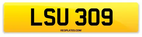 LSU 309